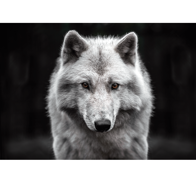 Tapisserie animaux portrait de loup majestueux - TenStickers