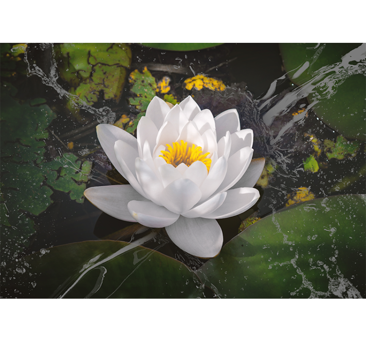 Tapisserie fleur sérénité de lotus - TenStickers