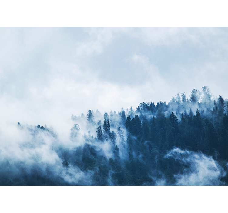 Papiers peints nature paysage forestier brumeux - TenStickers