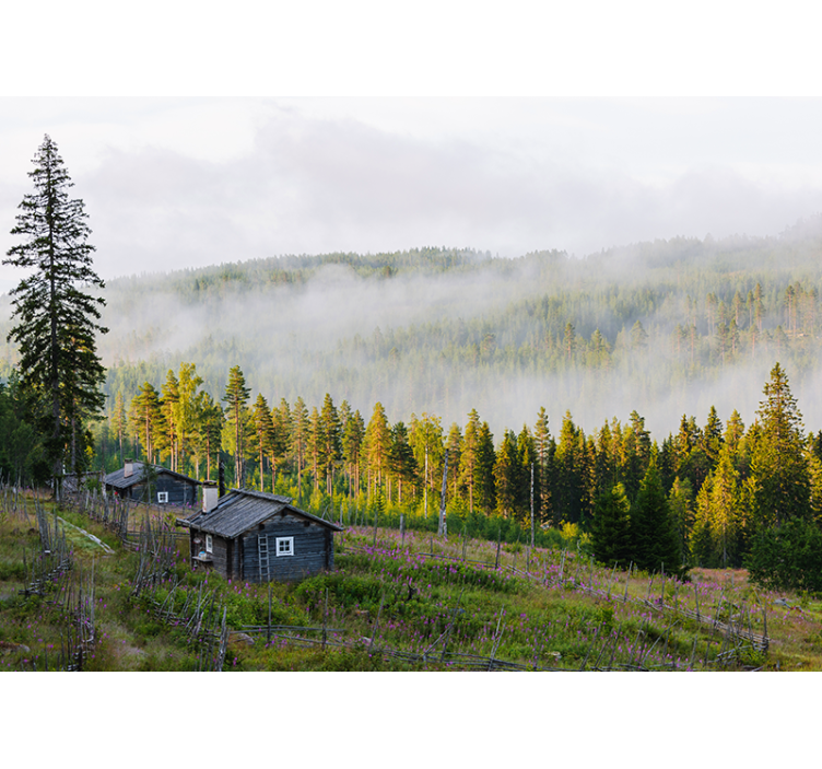 Tapisserie paysage forêt couverte de brume - TenStickers
