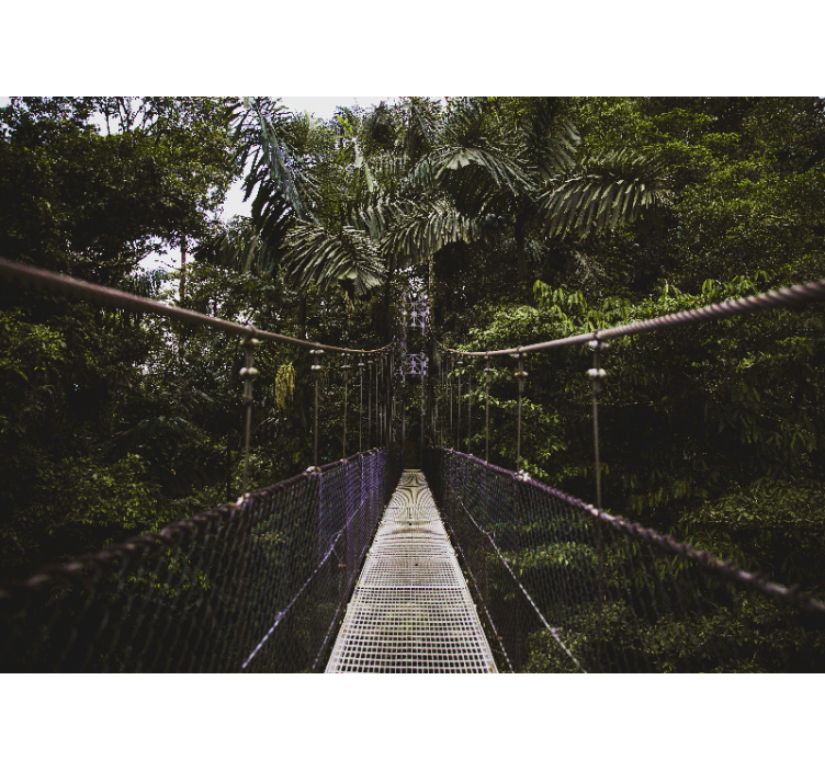 Tapisserie nature aventure sur le pont suspendu - TenStickers