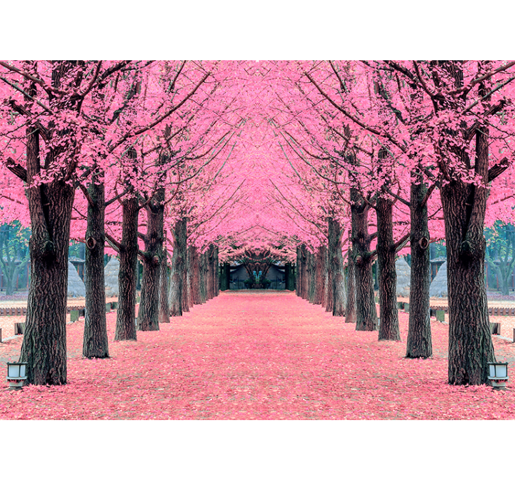 Tapisserie fleur chemin des cerisiers en fleurs - TenStickers