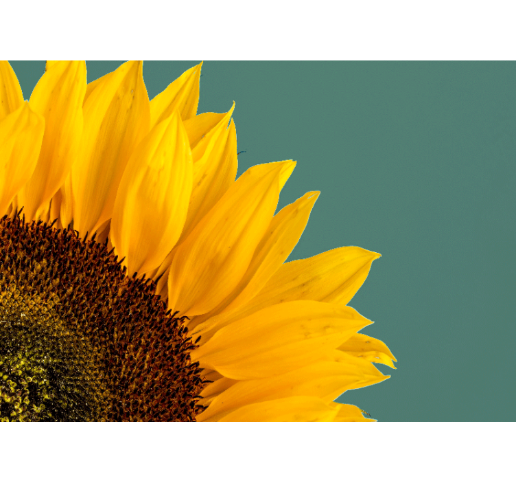 Tapisserie fleur gros plan de tournesol - TenStickers