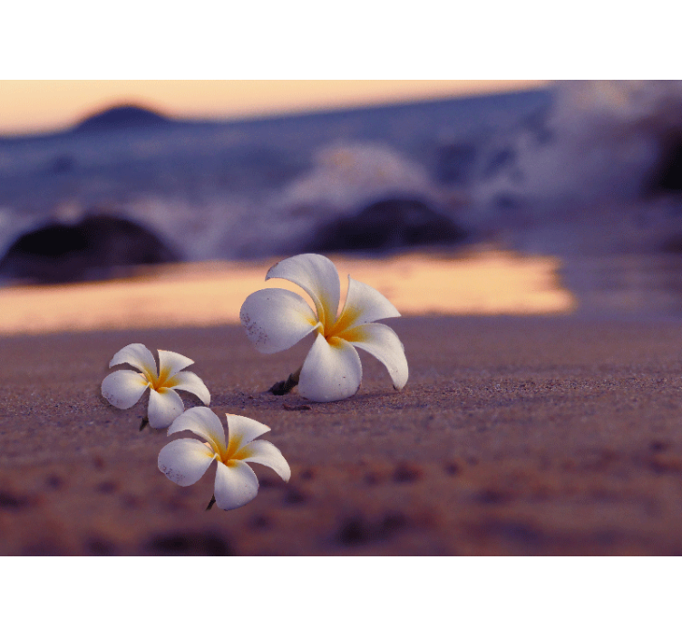 Tapisserie coquelicots trio de fleurs tropicales - TenStickers