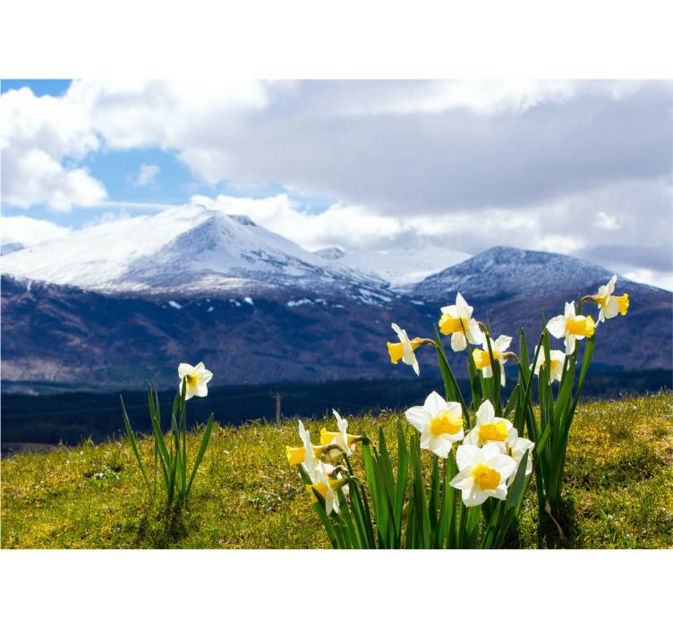 Tapisserie fleur jonquilles sur montagnes - TenStickers