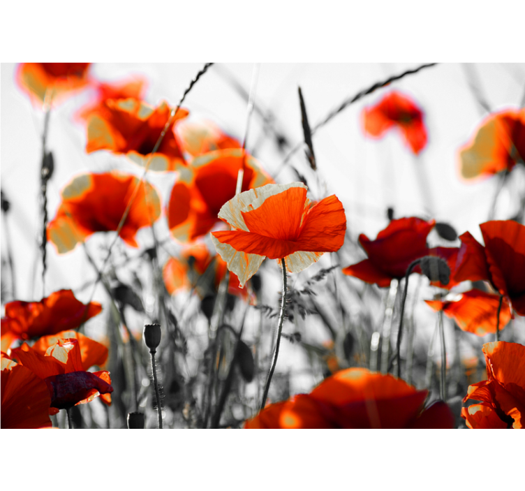 Tapisserie coquelicots prairie vivante - TenStickers