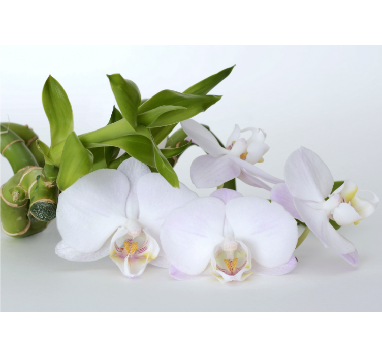 Tapisserie orchidée arrangement élégant - TenStickers