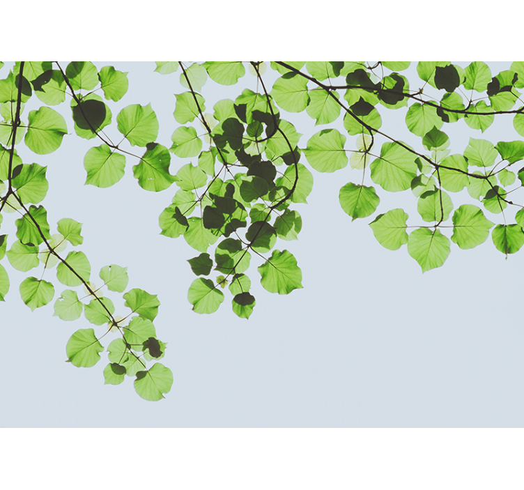 Tapisserie arbre voûte de branches feuillues - TenStickers