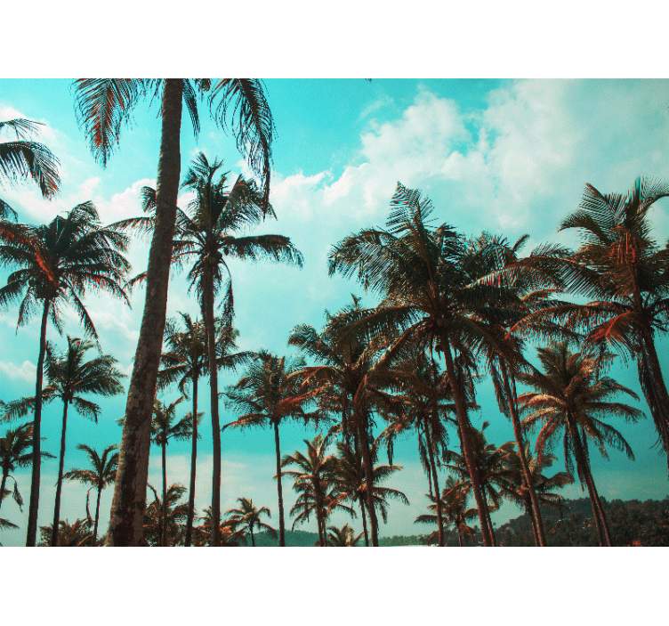 Tapisserie nature paradis des palmiers - TenStickers