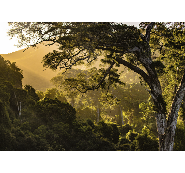 Tapisserie nature paysage forestier verdoyant - TenStickers