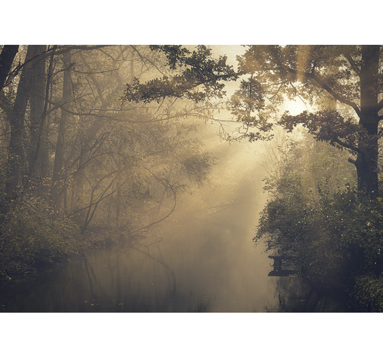 Tapisserie nature scène lumineuse de forêt - TenStickers