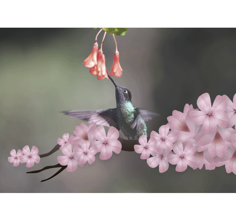 Tapisserie animaux colibri et fleurs - TenStickers