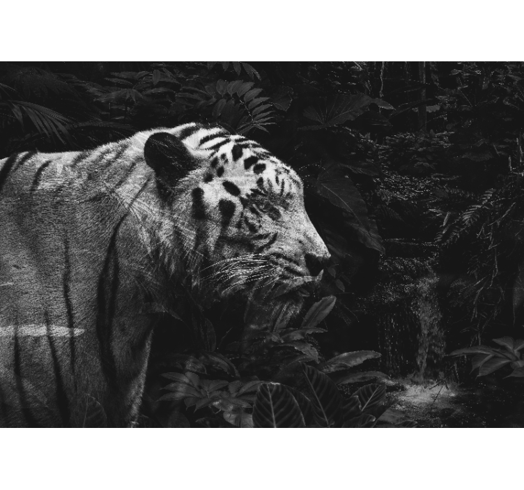 Tapisserie animaux majestueux tigre blanc - TenStickers