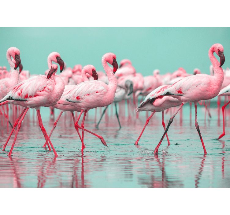 Tapisserie animaux flamants roses en balade - TenStickers