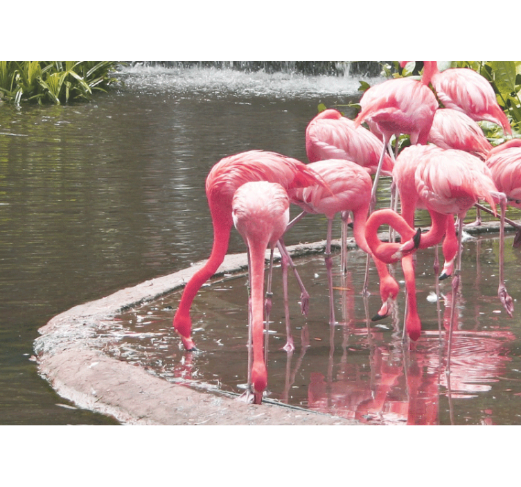 Tapisserie animaux assemblage flamants roses - TenStickers