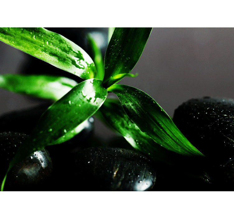 Tapisserie nature texture de feuilles fraîches - TenStickers