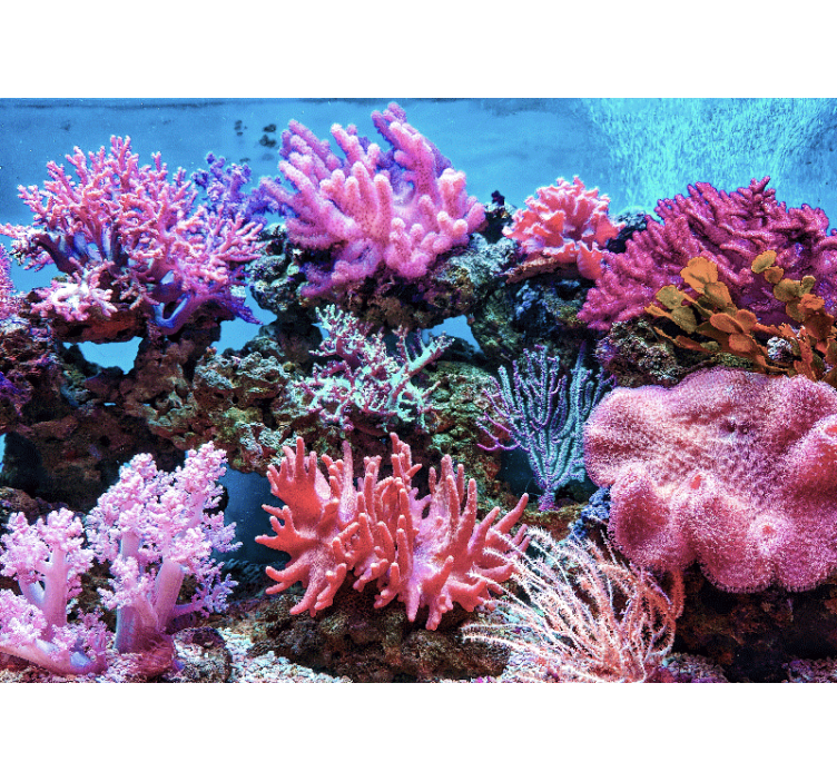 Tapisserie mer scène de corail aquatique - TenStickers