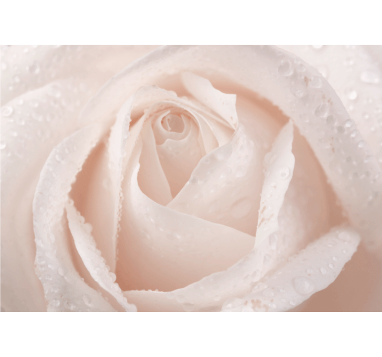 Tapisserie rose délicate fleur blanche - TenStickers