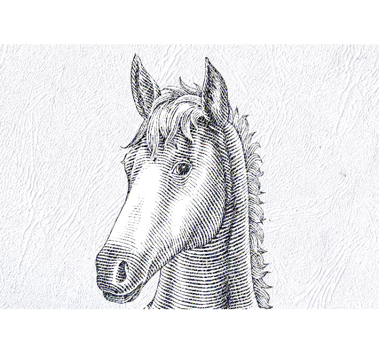 Tapisserie animaux portrait élégant de cheval - TenStickers