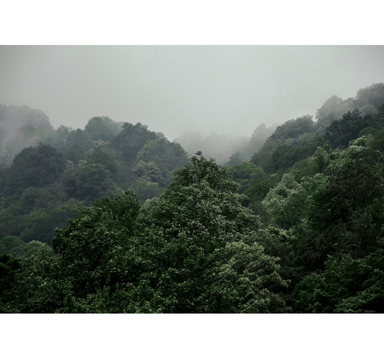 Tapisserie forêt paysage brumeux - TenStickers