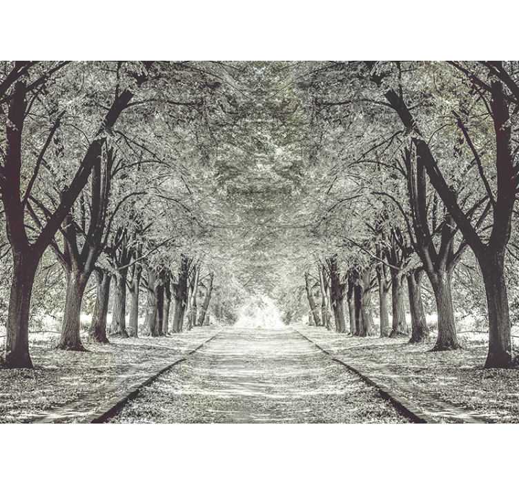 Tapisserie nature chemin d'arbres sereins - TenStickers