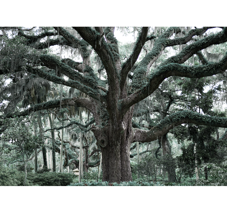 Tapisserie arbre branches de chêne majestueuses - TenStickers