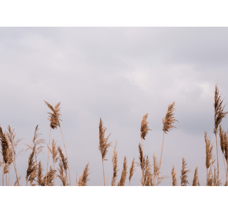 Tapisserie arbre silhouettes de grandes herbes - TenStickers