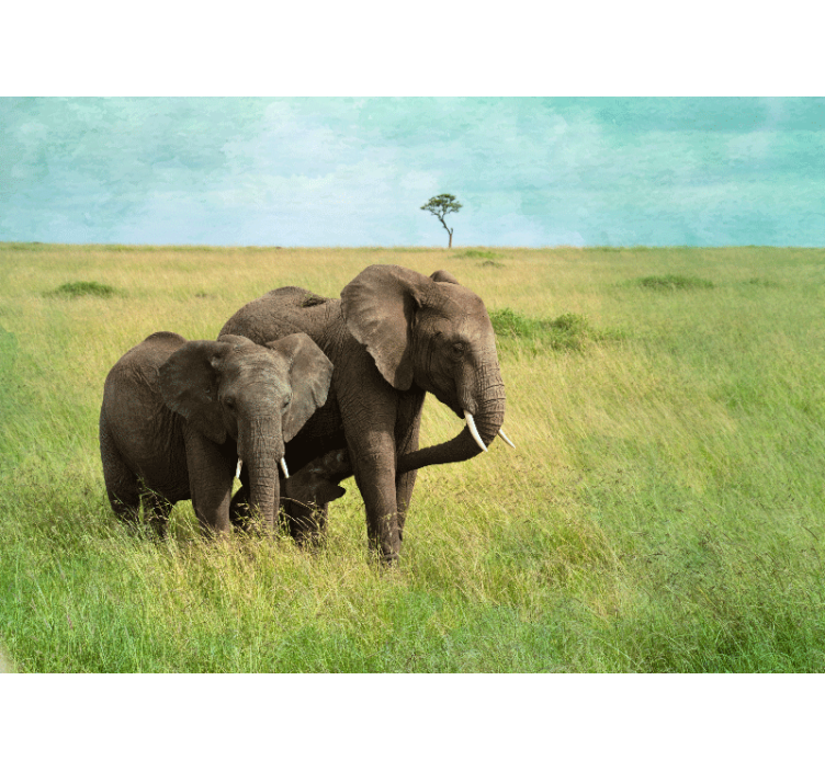 Tapisserie animaux Éléphants dans la prairie - TenStickers