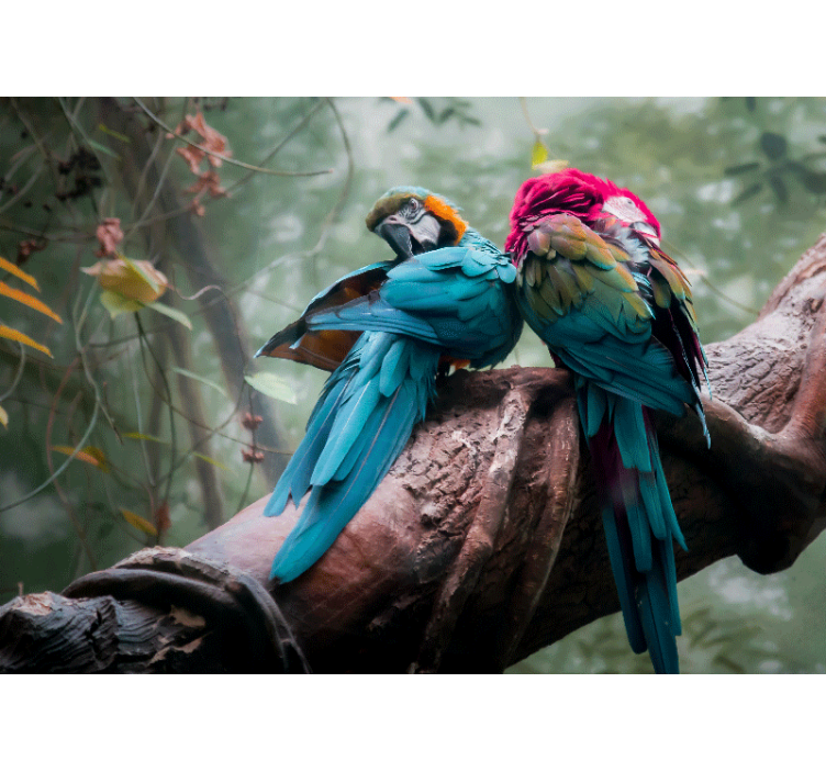 Tapisserie animaux perroquets colorés en Étreinte - TenStickers