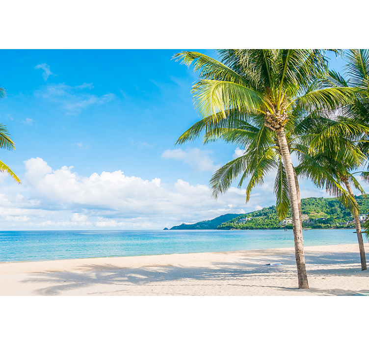 Papier peint nature Photographie esthétique du soleil d'été - TenStickers