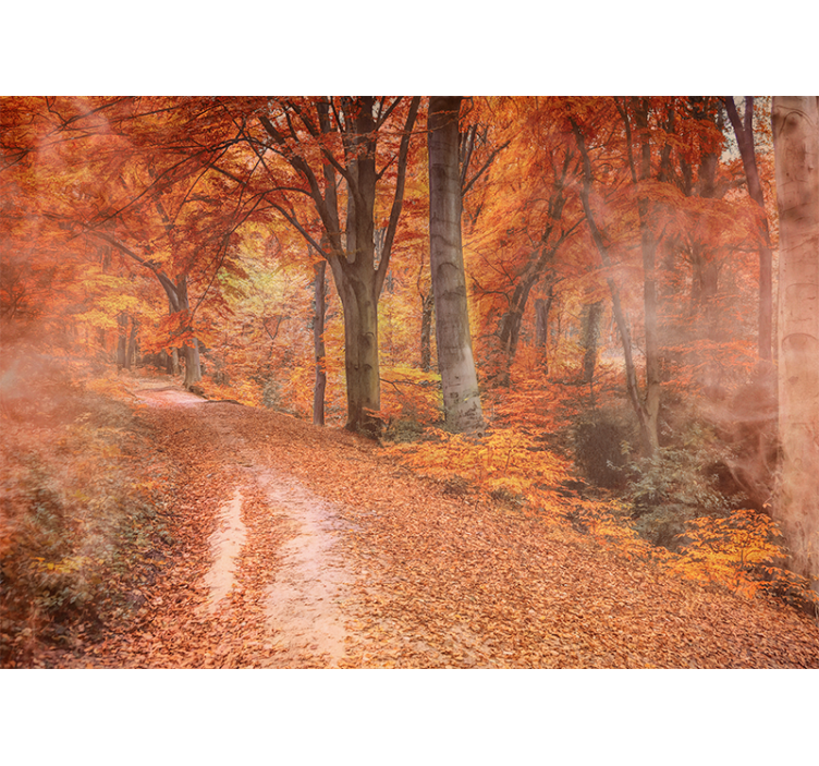 Papiers peints nature chemin d'automne - TenStickers
