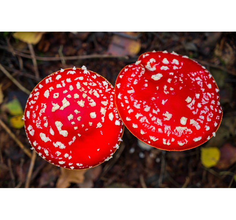Tapisserie nature chapeaux de champignons rouges - TenStickers