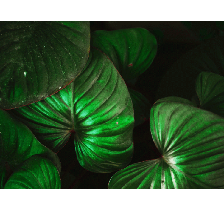 Tapisserie nature feuilles vertes vives - TenStickers