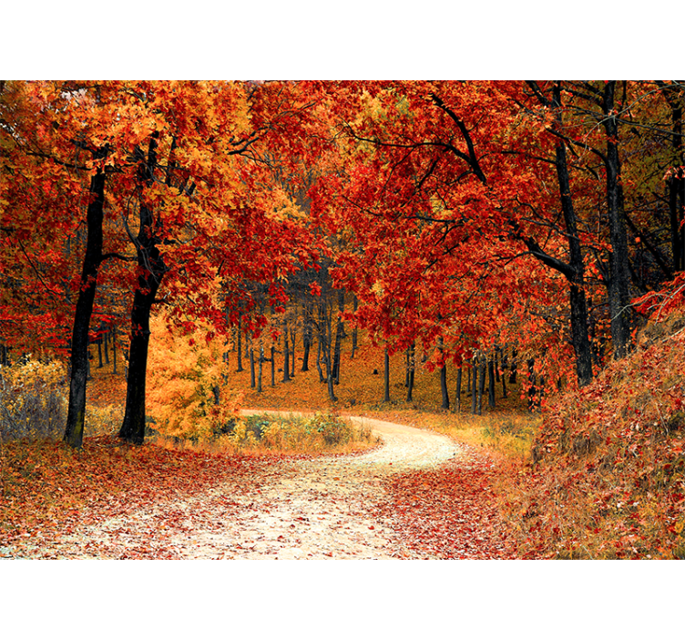 Papiers peints nature chemin forestier d'automne - TenStickers