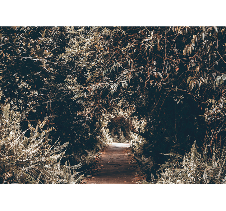 Tapisserie nature chemin forestier - TenStickers