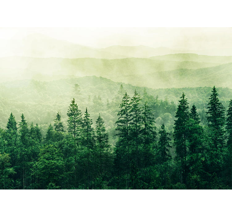 Tapisserie nature paysage vert brumeux - TenStickers
