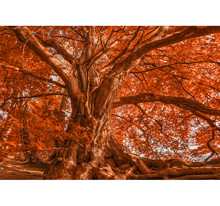 Tapisserie arbre majestueux d'automne - TenStickers
