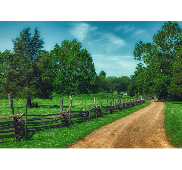 Tapisserie paysage chemin verdoyant vibrant - TenStickers