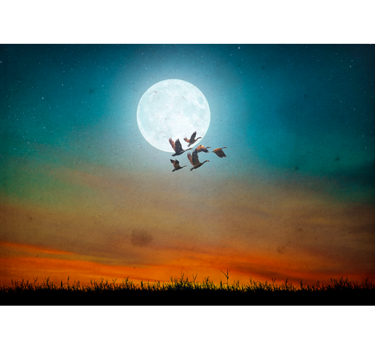 Tapisserie nature ciel nocturne en velours - TenStickers