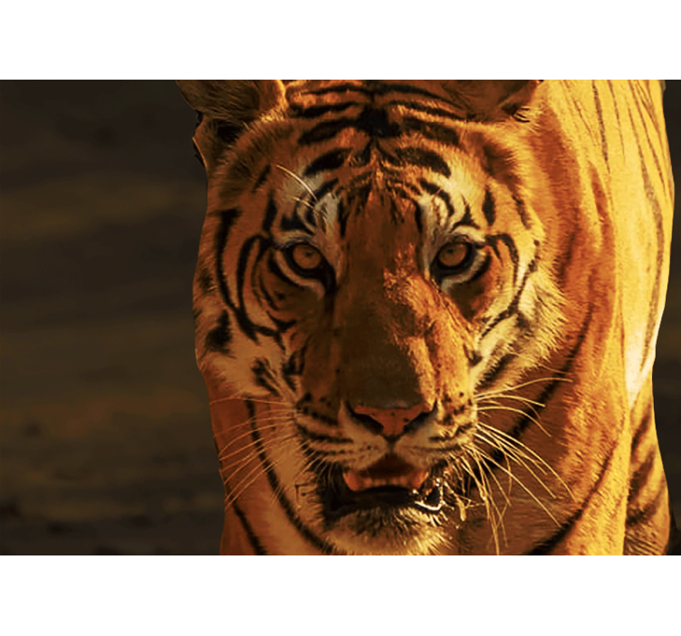 Tapisserie lion regard royal du tigre - TenStickers