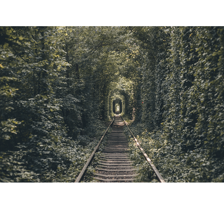 Tapisserie paysage chemin de tunnel ferroviaire - TenStickers