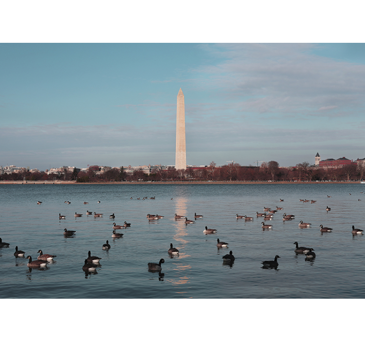 Tapisserie villes et pays reflet du monument de washington - TenStickers