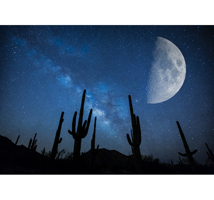 Tapisserie paysage ciel nocturne de cactus - TenStickers