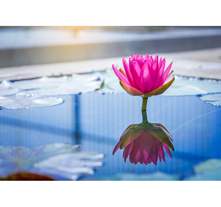 Tapisserie zen fleur de lotus tranquillité - TenStickers