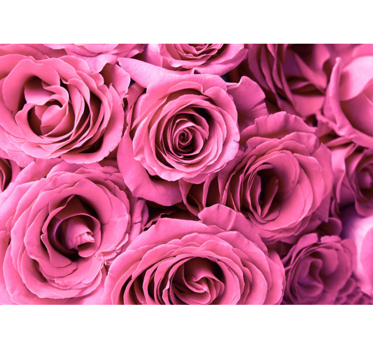 Tapisserie rose fleurs roses - TenStickers
