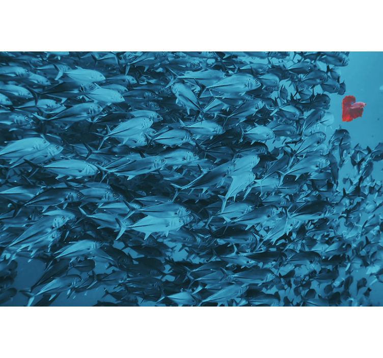 Tapisserie animaux École de poissons sous-marins - TenStickers