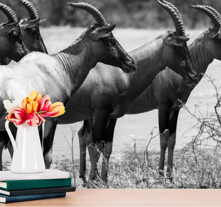 Tapisserie animaux hardes d'antilopes africaines - TenStickers