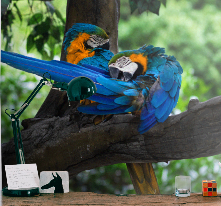 Tapisserie animaux perroquets colorés en couple - TenStickers