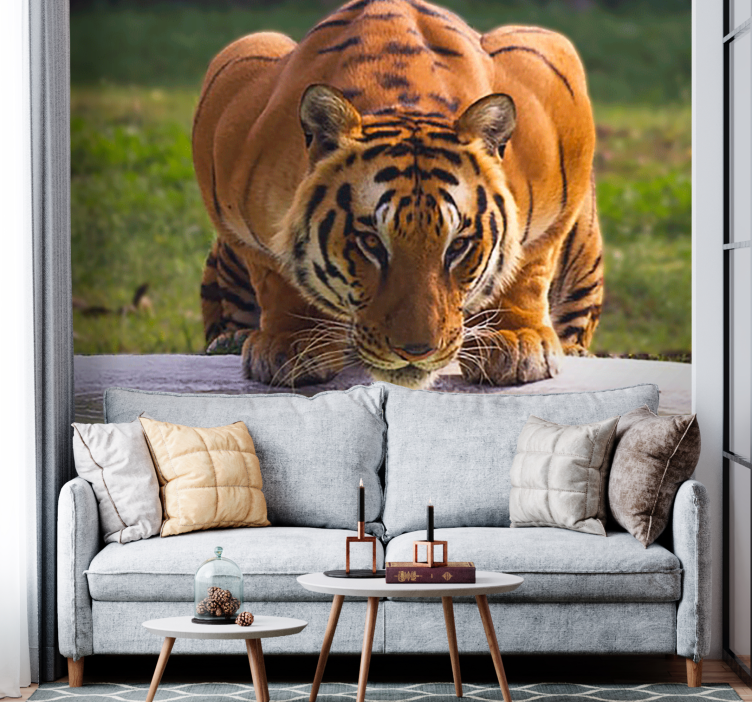 Tapisserie animaux pose de tigre royal - TenStickers