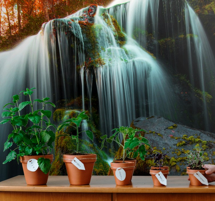 Tapisserie cascade eau qui tombe doucement - TenStickers